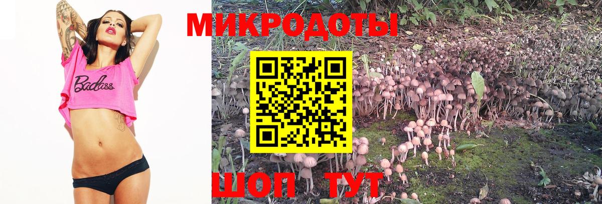 Дзержинск  Галлюциногенные грибы Magic Shrooms  купить наркотики сайты  Вход с VPN 